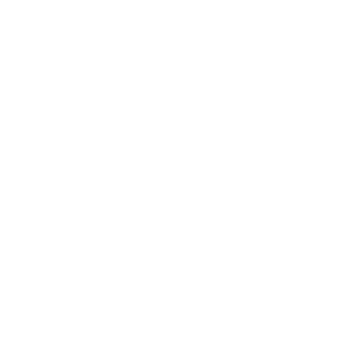 akcija